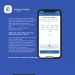 Hidden wallet 